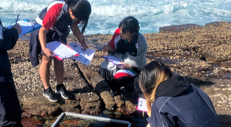 Delany Catholic College Granville Stage Five students on an excursion
